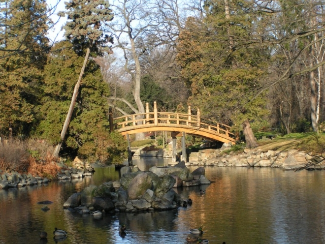 Mostek w Ogrodzie Japońskim