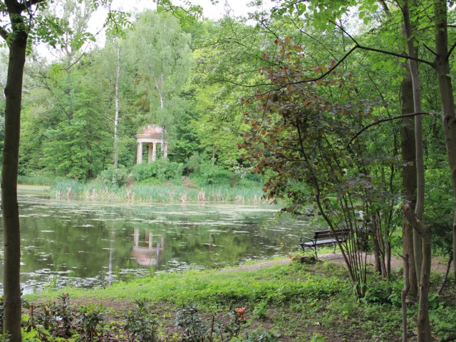 Staw w arboretum w Pawłowicach